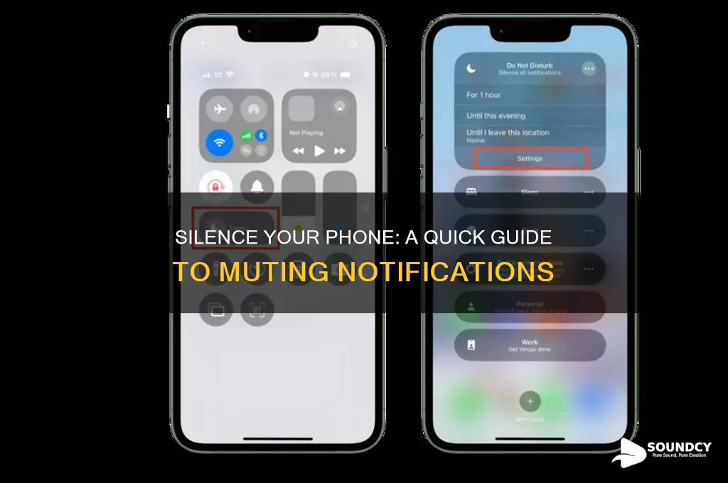how do quiet the notification sound on my phone