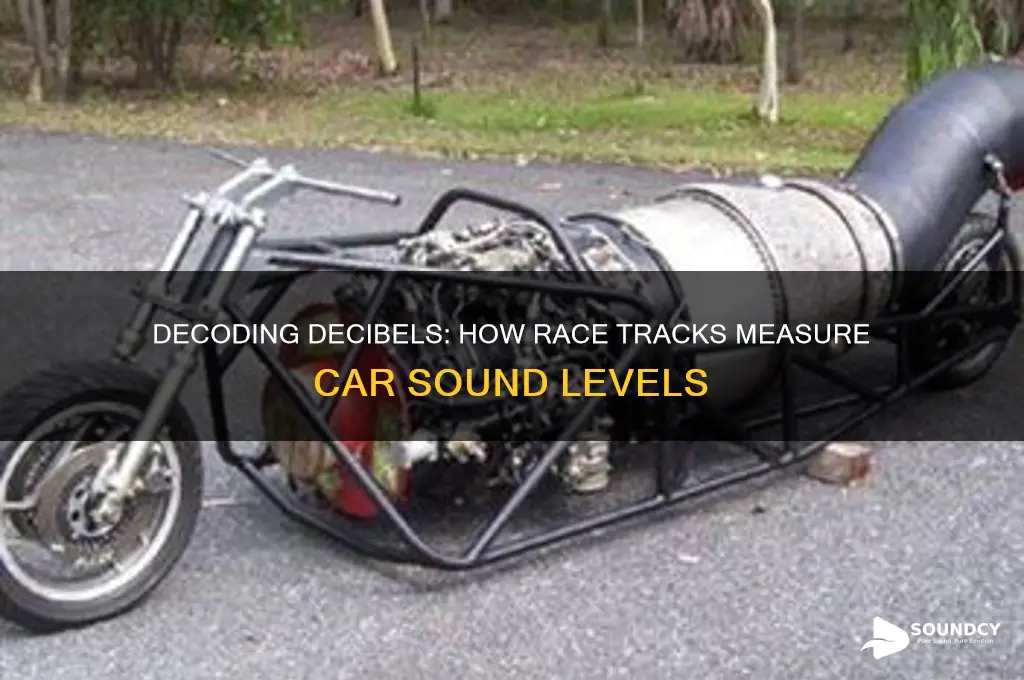 how do race tracks measure an individual automobiles sound