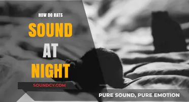 Nocturnal Noises: Decoding the Mysterious Sounds of Rats at Night