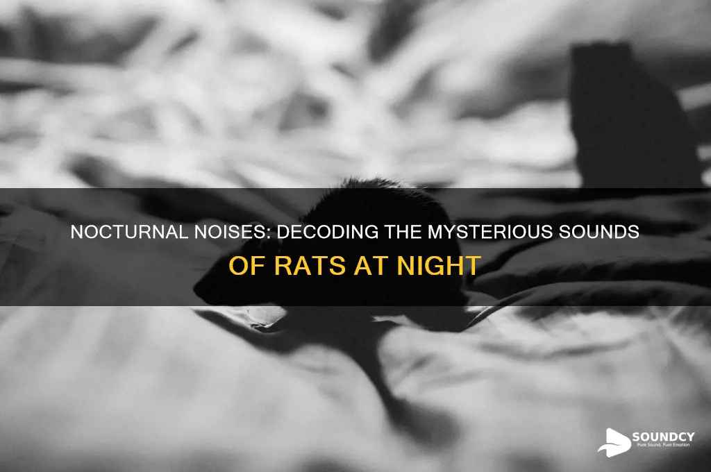 how do rats sound at night