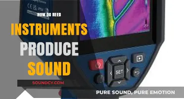 Unveiling the Science Behind Reed Instruments' Sound Production