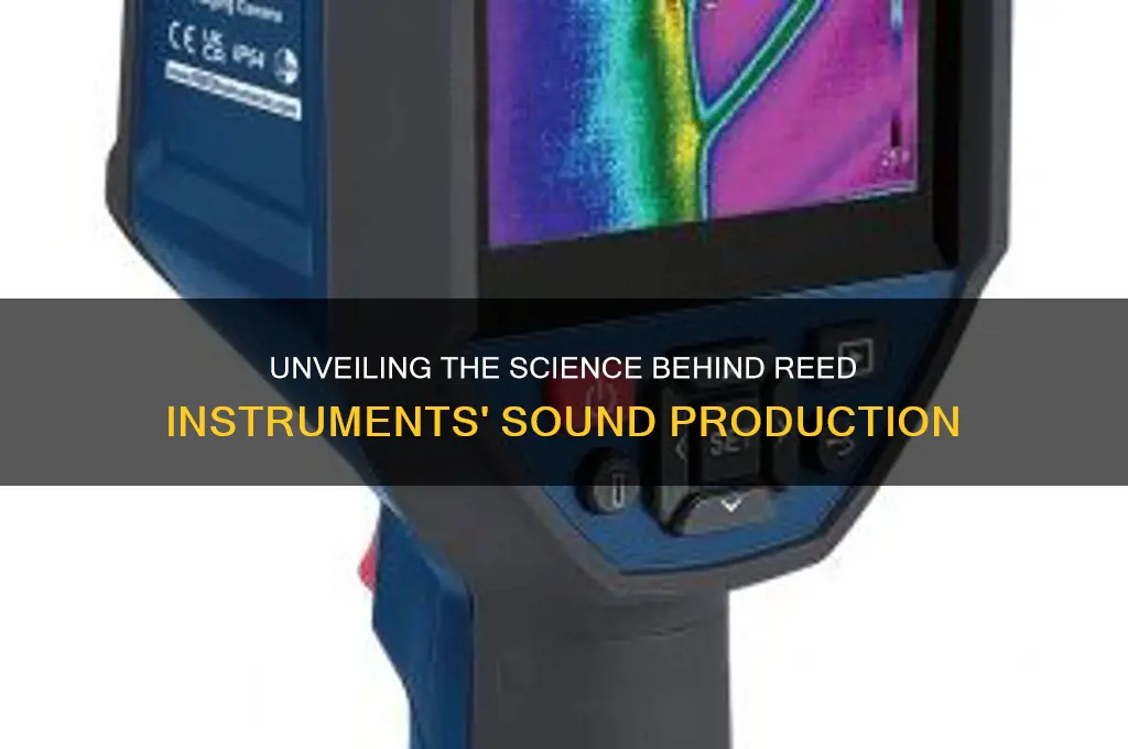 how do reed instruments produce sound