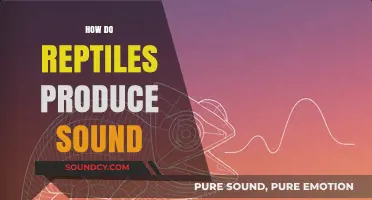 Unveiling the Silent World: How Reptiles Produce Unique Sounds