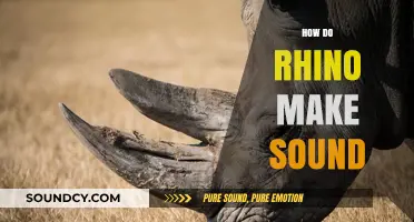 Unveiling the Unique Vocalizations: How Do Rhinos Make Sounds?