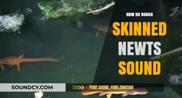 Unveiling the Unique Vocalizations of Rough-Skinned Newts in Nature