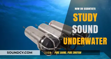 Exploring Ocean Acoustics: How Scientists Study Sound Underwater