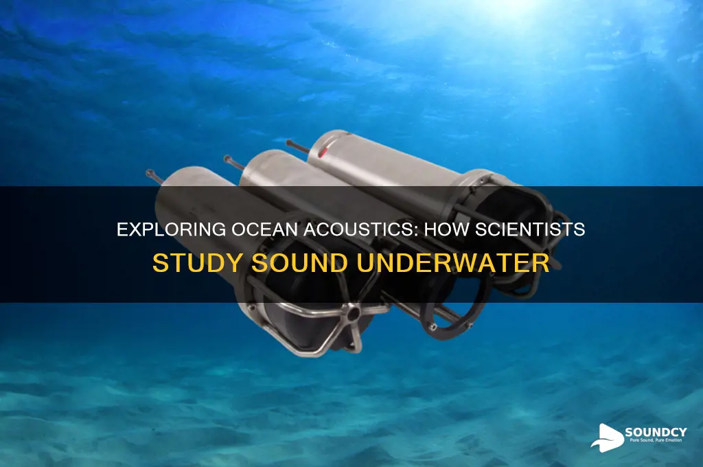 how do scientists study sound underwater