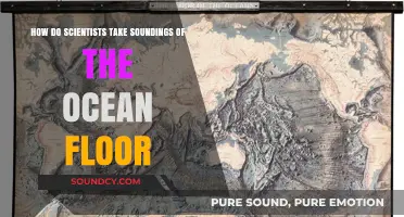 Exploring Ocean Depths: Techniques for Mapping the Seafloor