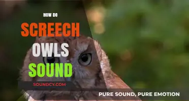 Unveiling the Unique Calls of Screech Owls: A Sonic Exploration