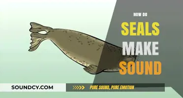 Unveiling the Mystery: How Seals Create Their Unique Vocalizations