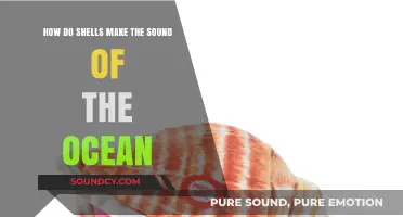 Unveiling the Science Behind Seashells' Soothing Ocean Sounds