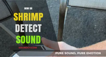 Shrimp's Sonic Secrets: Unveiling Their Unique Sound Detection Abilities