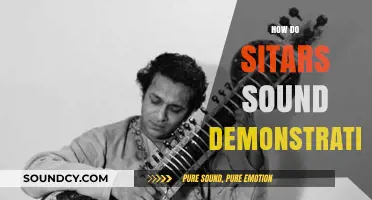 Exploring the Unique Sound of the Sitar: A Demonstration and Guide
