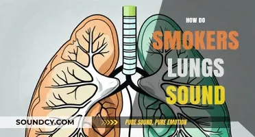 How Do Smokers' Lungs Sound? Uncovering the Audible Effects of Smoking