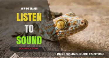 How Snakes Hear: Unveiling Their Unique Sound Perception Methods