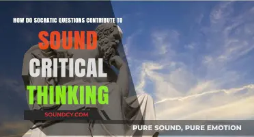 Socratic Questions: Unlocking Critical Thinking Through Inquiry and Reflection