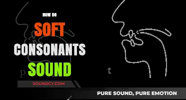 Understanding the Gentle Pronunciation of Soft Consonants in Speech