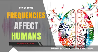 Unveiling the Impact: How Sound Frequencies Influence Human Mind and Body