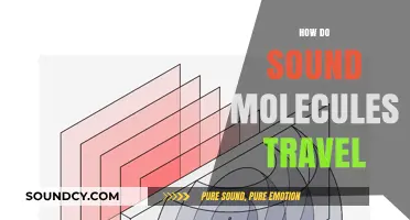 Unveiling the Journey: How Sound Molecules Travel Through Space