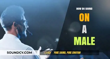 Mastering Masculine Voice: Techniques to Enhance Male Sound Production