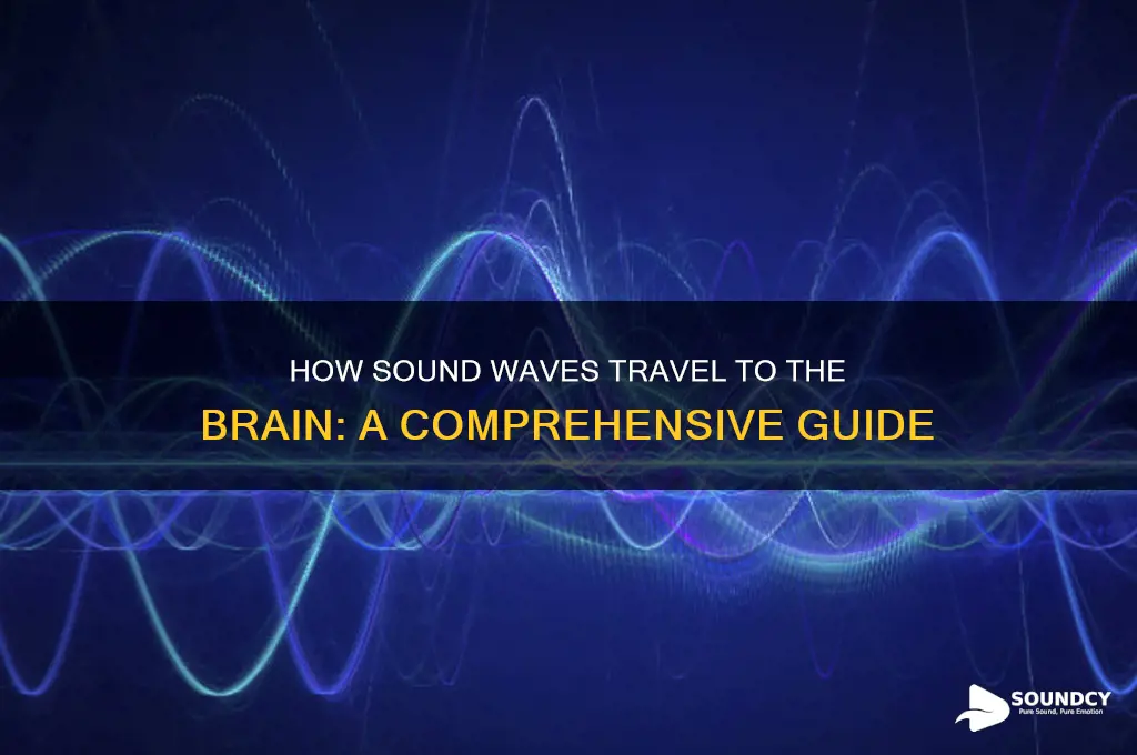 how do sound reach the brain