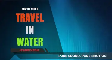 Exploring Underwater Acoustics: How Sound Waves Travel Through Water