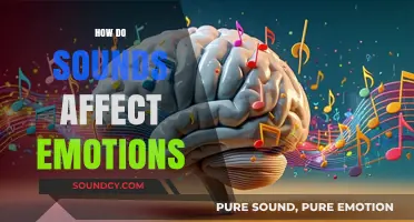 The Power of Sound: How Audio Influences Our Emotional States