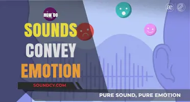 The Emotional Power of Sound: How Audio Shapes Our Feelings