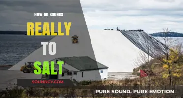 How Sounds Influence Salt: Unraveling the Science Behind Sonic Seasoning