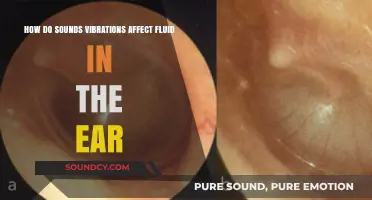 How Sound Vibrations Impact Fluid Dynamics in the Ear