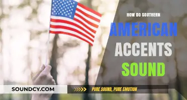 Exploring the Unique Sounds of Southern American Accents
