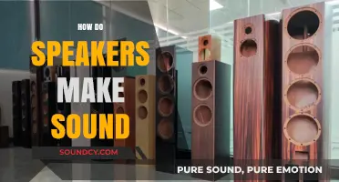 Understanding Speaker Mechanics: How Sound Waves Are Produced and Amplified