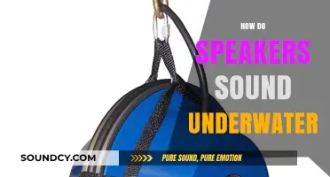 Exploring Underwater Acoustics: How Speakers Sound Beneath the Surface
