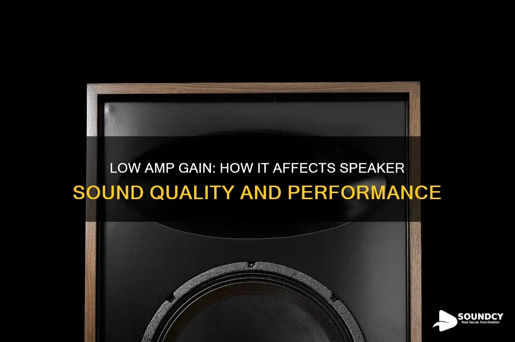 how do speakers sound with amp gain too low