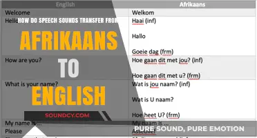 Exploring Phonetic Shifts: How Afrikaans Speech Sounds Transition to English