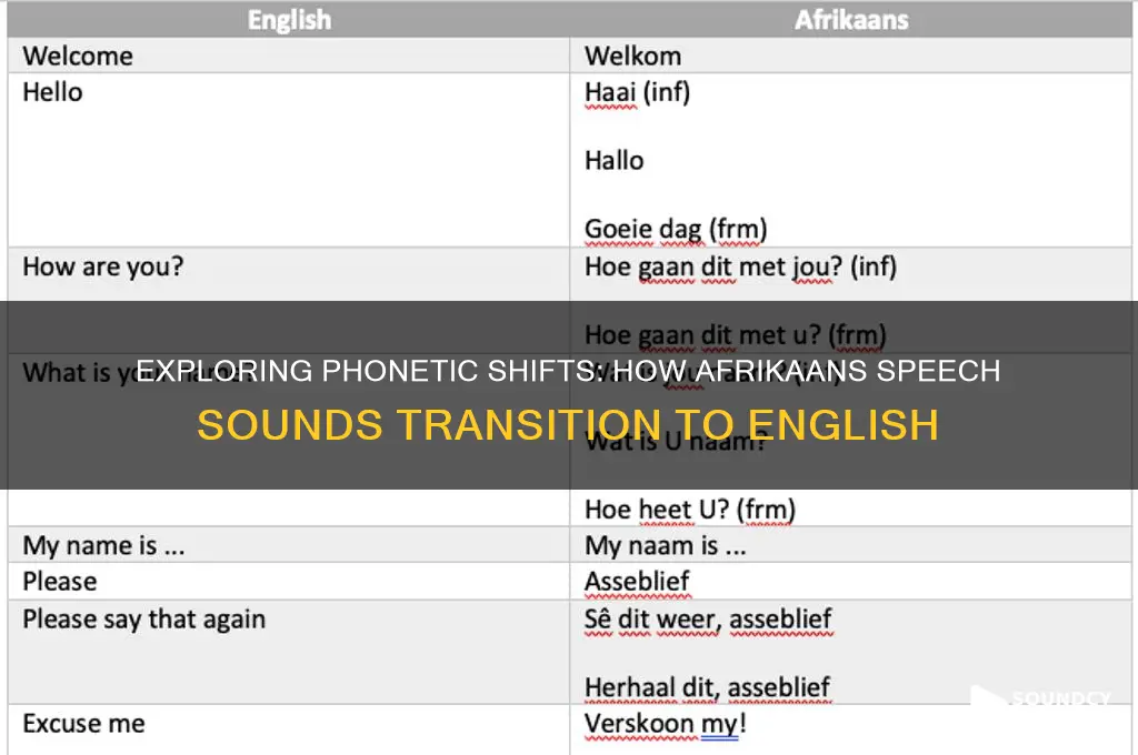how do speech sounds transfer from afrikaans to english