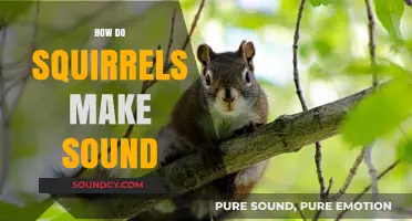 Unveiling the Secrets: How Squirrels Communicate Through Unique Sounds