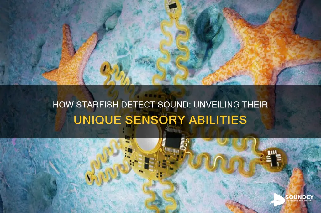 how do starfish sense sound