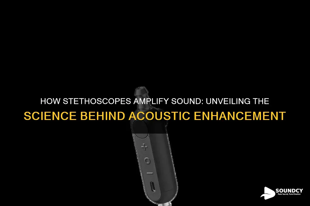 how do stethoscopes amplify sound