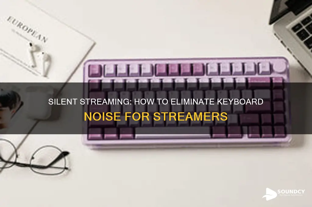 how do streamer hide keyboard sounds
