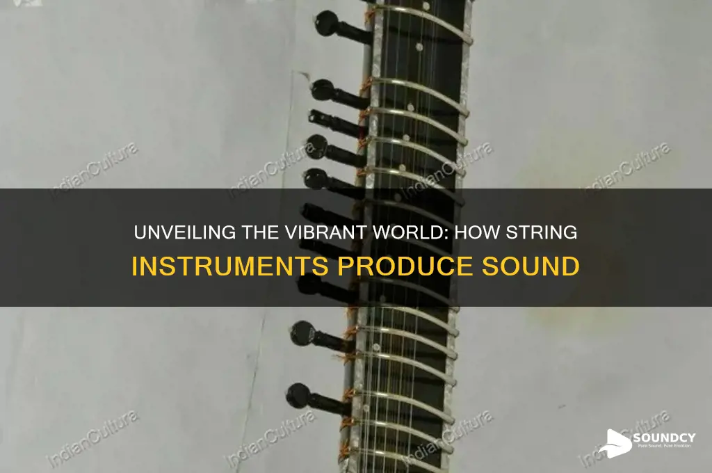 how do string instruments create sound
