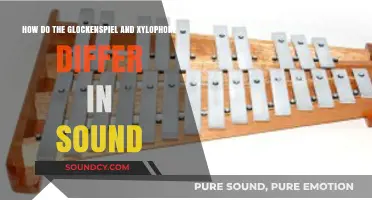 Glockenspiel vs. Xylophone: Unveiling the Unique Sonic Differences
