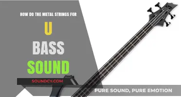 Exploring the Rich, Punchy Tone of Metal Strings on U-Bass