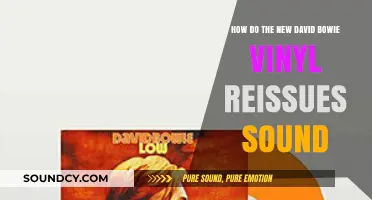 Revisiting Bowie's Legacy: The Sound of His Vinyl Reissues