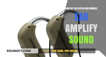 How the Outer and Middle Ear Work Together to Amplify Sound
