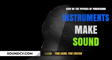 Unveiling the Vibrational Science Behind Percussion Instruments' Sound Creation