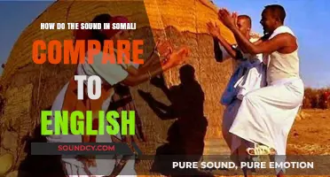 Comparing Somali and English Phonetics: A Linguistic Sound Analysis