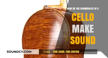 How Cello Soundholes Amplify Vibrations and Create Rich Tones