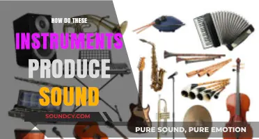 Unveiling the Science Behind How Musical Instruments Create Sound