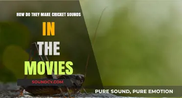Unveiling the Magic: Creating Cricket Sounds in Cinematic Productions